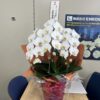 大中創立70年名古屋銀行からお祝い花